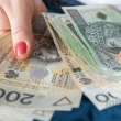 Pożyczka bez sprawdzania BIK - ogłoszenia 2531731 | nWloclawek.pl