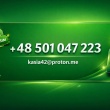 Zarejestrowane karty sim i esim Polska Zagranica - ogłoszenia 2561342 | nWloclawek.pl