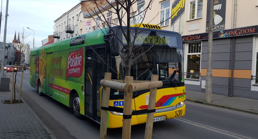Urząd Miasta we Włocławku zleci analizę stanu bezpieczeństwa ruchu drogowego