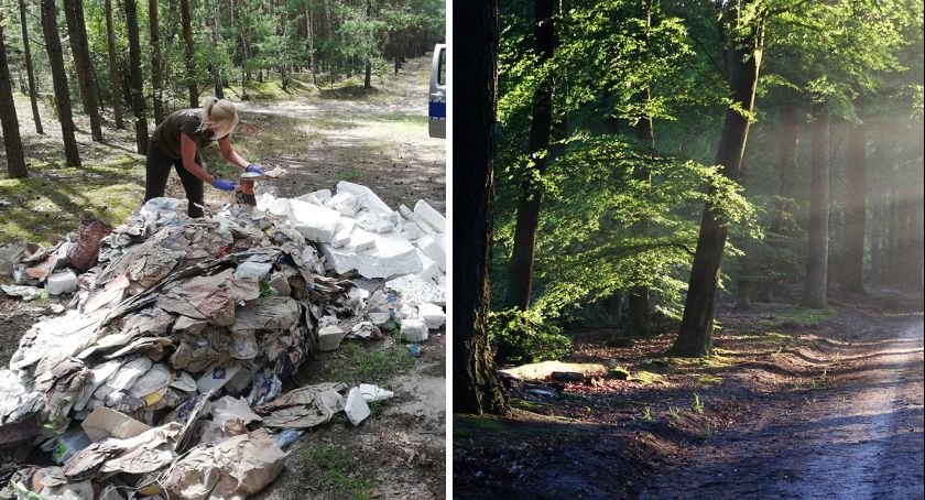 Wyrzucił śmieci do podwłocławskiego lasu. Słono za to zapłacił
