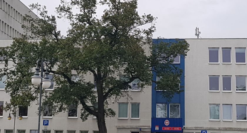 Nabór na stanowisko urzędnicze w Urzędzie Miasta we Włocławku