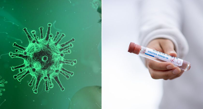 Koronawirus. 13 osób zakażonych w powiecie włocławskim i 3 we Włocławku