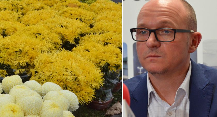 Włocławek przyozdobią chryzantemy. Miasto wpiera sprzedawców i producentów