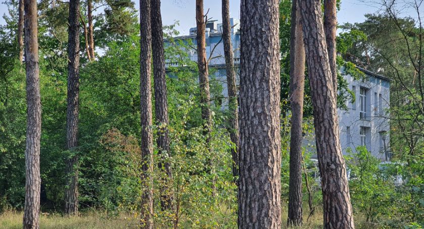 Koronawirus Włocławek: Kolejne 2 ofiary śmiertelne w szpitalu 