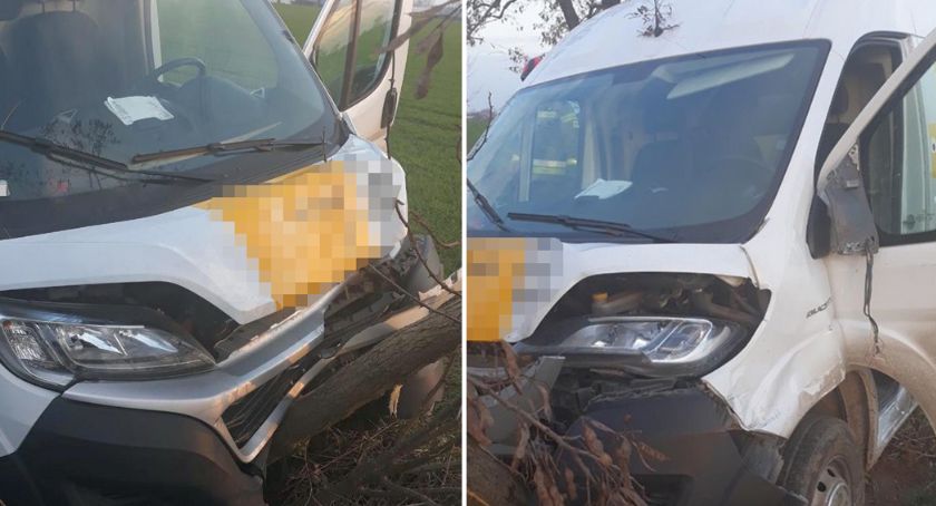 W Świątnikach bus uderzył w drzewo [ZDJĘCIA]