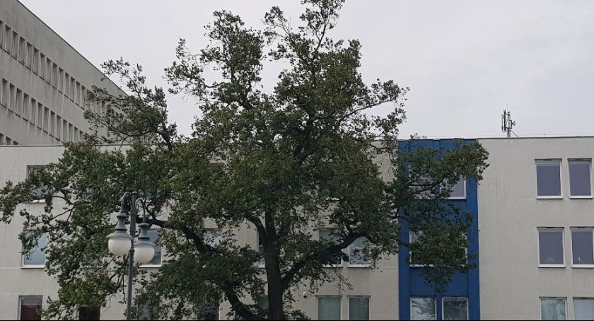 Urząd Miasta we Włocławku ogłosił nabór na stanowisko podinspektora