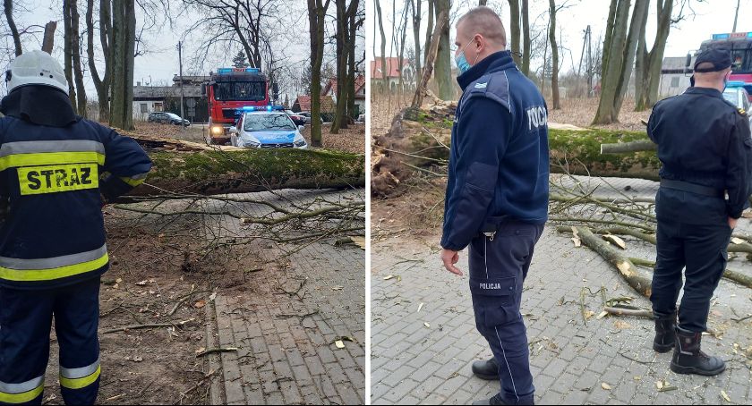 Skępe: W parku drzewo przygniotło dziewczynkę [ZDJĘCIA]