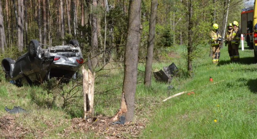 Wypadek w Gminie Włocławek. Samochód osobowy ściął drzewo. Na miejscu 3 karetki pogotowia [ZDJĘCIA]