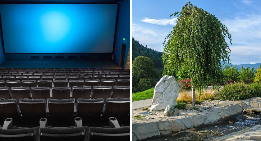 Kino w Brześciu Kujawskim? Są też inne propozycje: trampoliny, ogród sensoryczny, warsztaty muzyczne. Mieszkańcy zdecydują