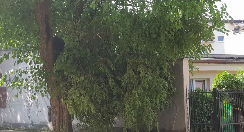 Meteorolodzy znów ostrzegają. Burze, silny wiatr i ulewy. To znów może być niebezpieczna noc