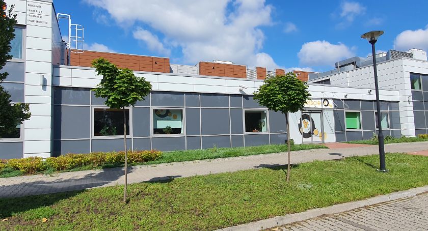 Włocławek za pół ceny. To będzie rabatowe święto