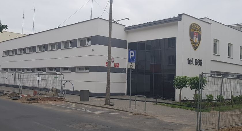 Straż Miejska we Włocławku włącza się do walki ze szczurami. Będą kontrole