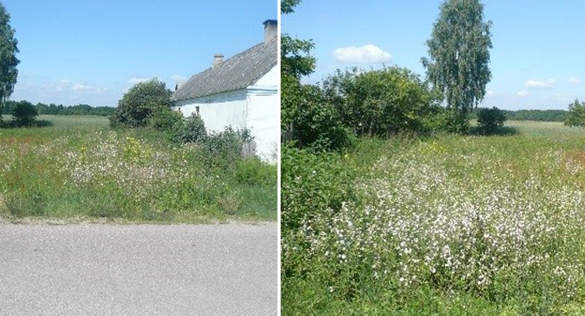 Gmina Baruchowo: Przetarg na sprzedaż nieruchomości w miejscowości Okna