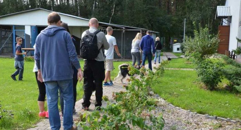 Światowy Dzień Zwierząt we Włocławku. Przemaszerują 3-go Maja do Starego Rynku