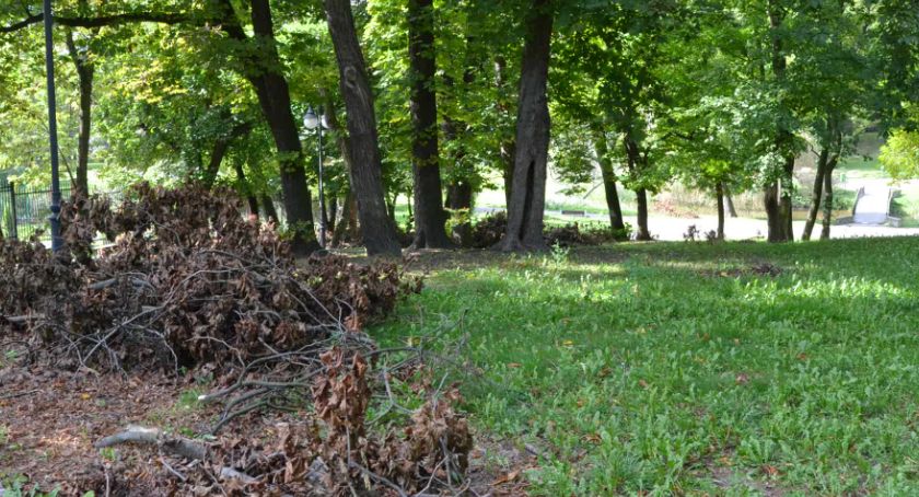 Włocławek: Czytelnik skarży się na brak inwestycji w parku przy Katedrze. Co na to ratusz ?