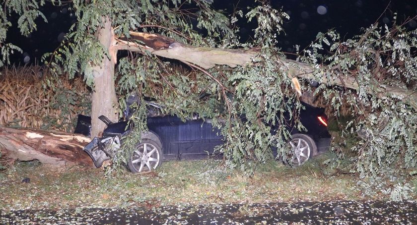 W Połajewie pijany kierowca uderzył autem w drzewo