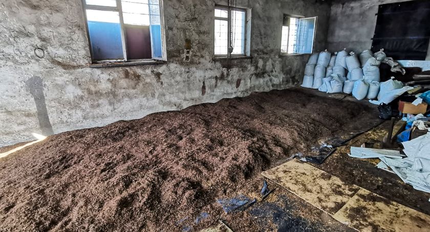 Akcja CBŚP w regionie i całym kraju. Zlikwidowali 14 fabryk papierosów. Przejęto 240 mln papierosów i 475 ton tytoniu