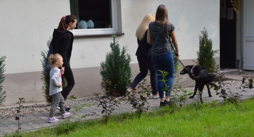 Schronisko dla zwierząt we Włocławku poszukuje pracownika