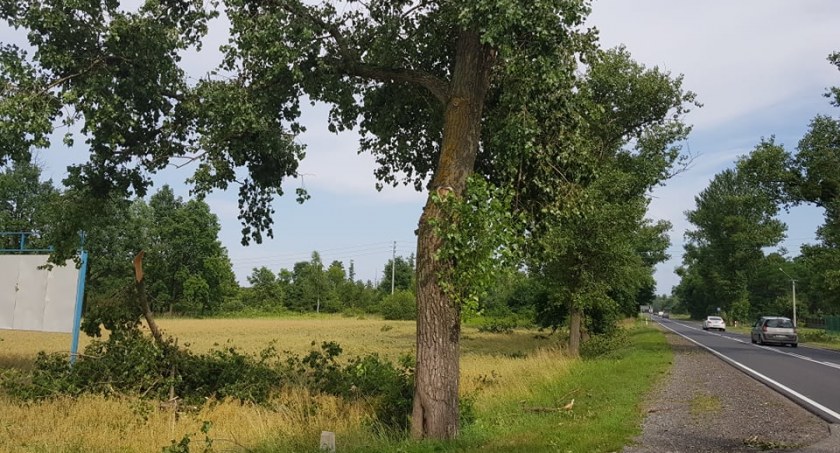 Alert dla Włocławka i okolic. Podczas wichury będzie niebezpiecznie