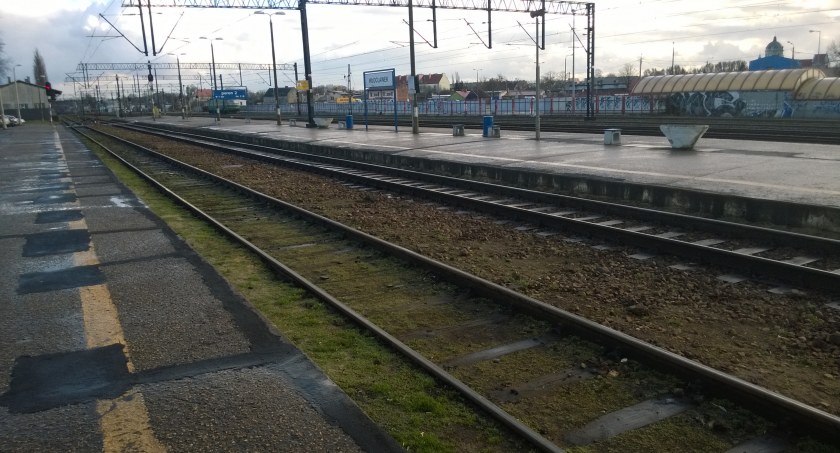 Kolej Dużych Prędkości: Ruszają prace dla linii Płocka i Włocławka 