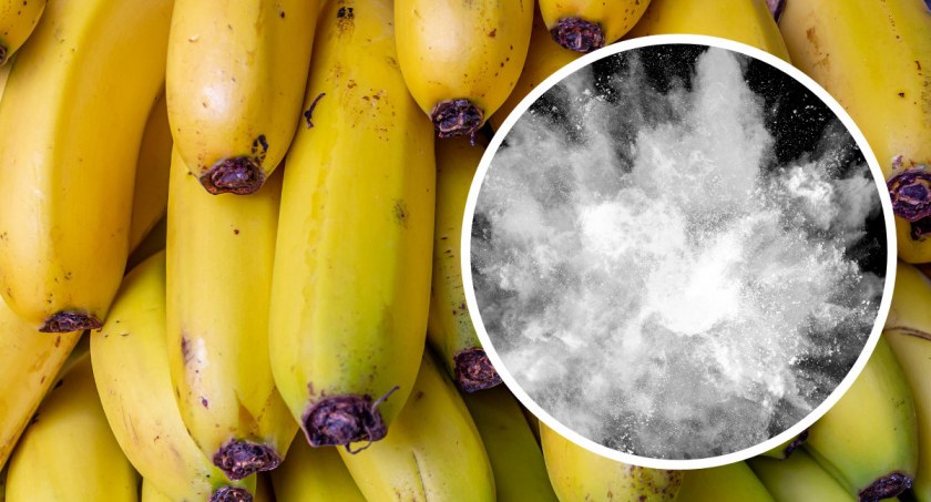 Kokaina w bananach we Włocławku? Kilkadziesiąt paczek białego proszku w marketach