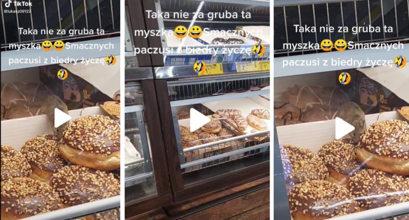 Zwierzątko buszowało w pączkach z Biedronki. Film hitem internetu. W sieci huczy od komentarzy