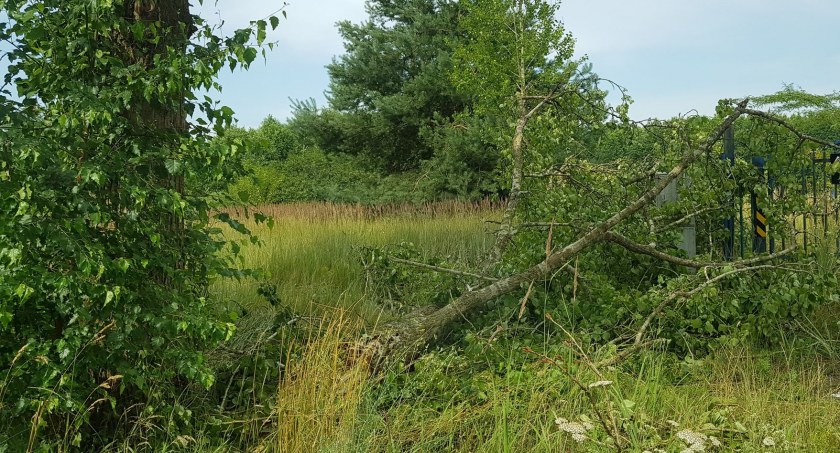 Załamanie pogody we Włocławku. Nadciąga cyklon