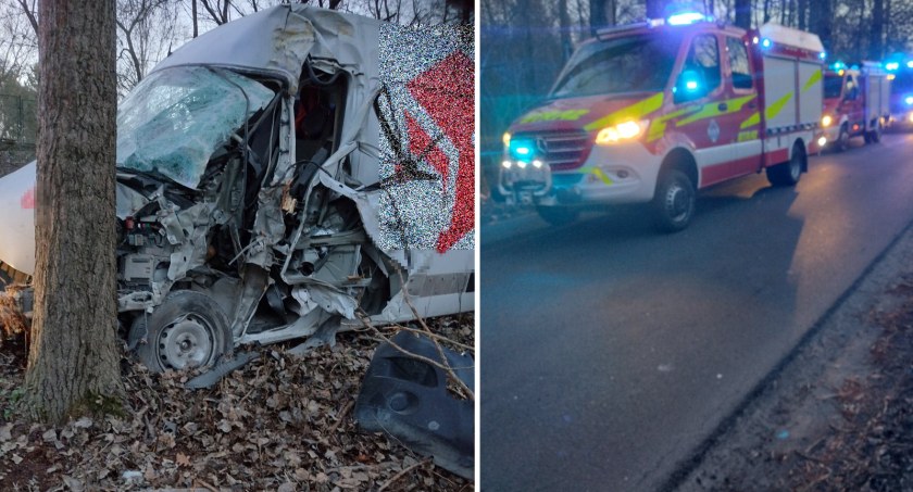 Wypadek w Kłóbce. Renault uderzyło w drzewo
