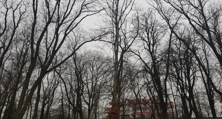 Niż Jana nad Włocławkiem. Pogoda nie będzie nas rozpieszczać