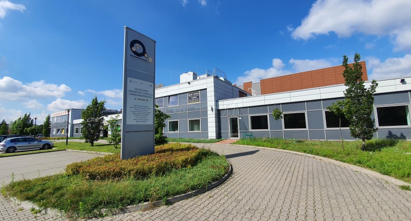 Włocławskie Centrum Biznesu zaprasza na szkolenia. Nabór od 4 kwietnia