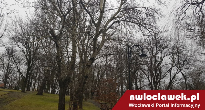 Pogodowy alert dla Włocławka i okolic. Nadciąga niż Nasim