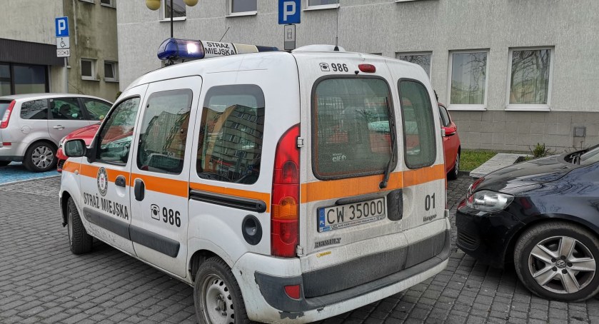 Sypią się mandaty. Straż Miejska we Włocławku nałożyła już blisko 1000