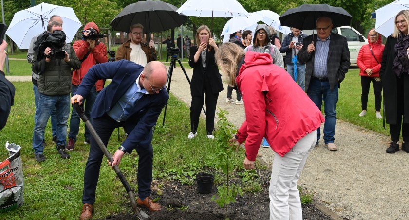 Akcja Czyste, Zielone Miasta we Włocławku