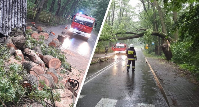 Burza nad Lubrańcem. Drzewo trafione przez piorun przewróciło się na przystanek autobusowy