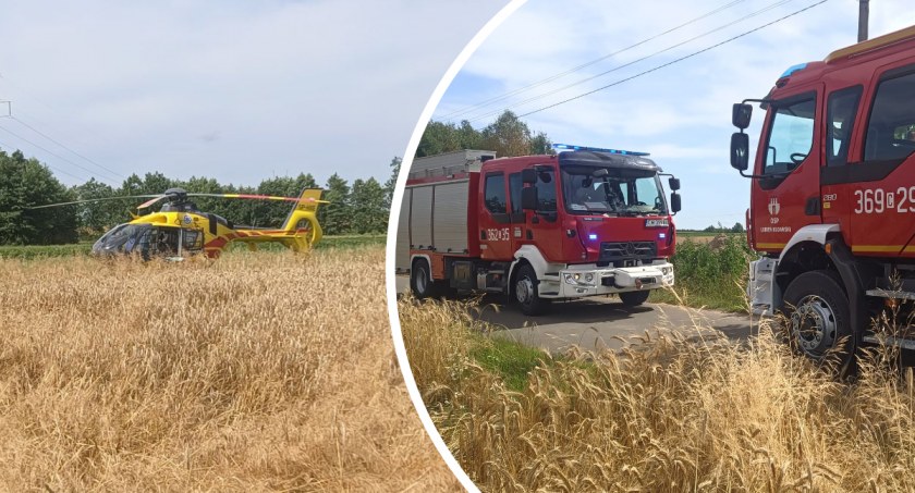 Śmigłowiec LPR w akcji. Byk kopnął mężczyznę w twarz w Gminie Lubień Kujawski