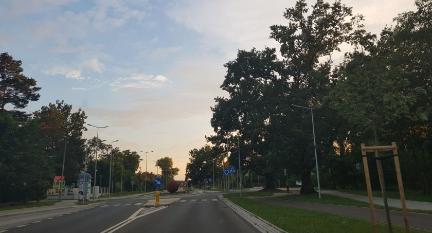 Wycinka drzew we Włocławku. Będą utrudnienia?