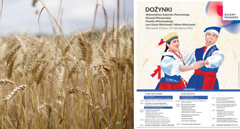 Dożynki wojewódzkie Włocławek - Kruszyn 2022. Wystąpią Organek i Pectus [PROGRAM]