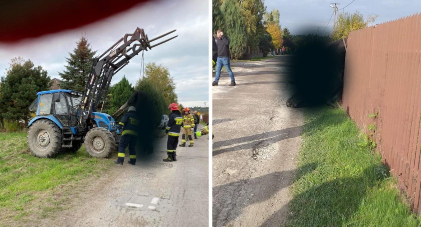 Łoś zawisł na ogrodzeniu w Szpetalu Górnym pod Włocławkiem