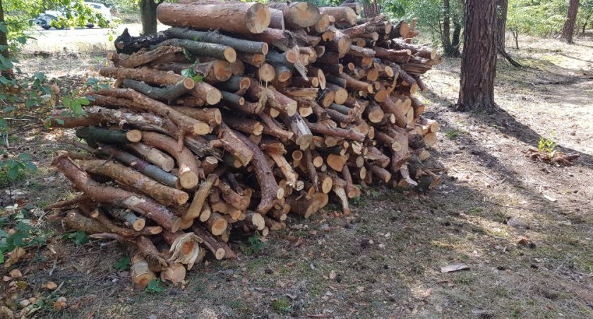 Nie węgiel i nie gaz. Mieszkańcy Włocławka i okolic rzucili się po chrust i drewno