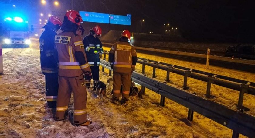 Dachowanie na A1. Służby w akcji [ZDJĘCIA]