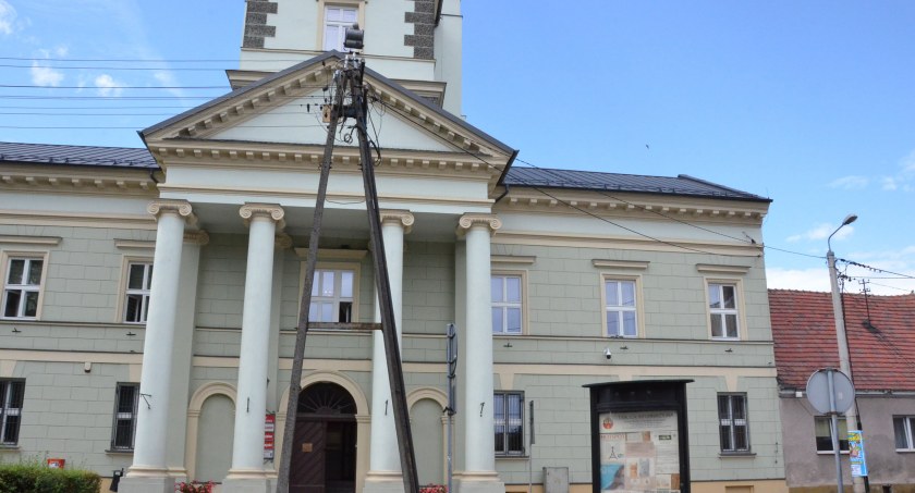 Ptasia grypa: Burmistrz Brześcia Kujawskiego wydał komunikat