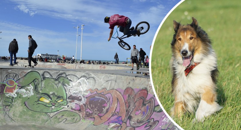 Micheliński Park Rozrywki coraz bliżej