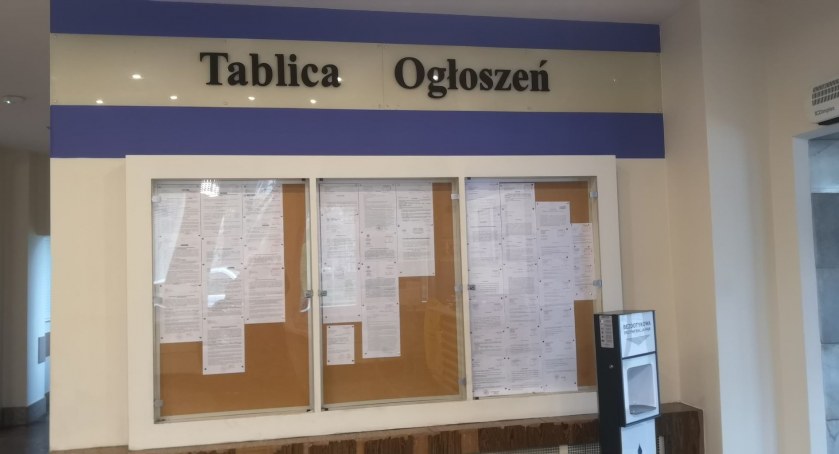 Praca we Włocławku. Urząd Miasta ogłosił nabory na stanowiska