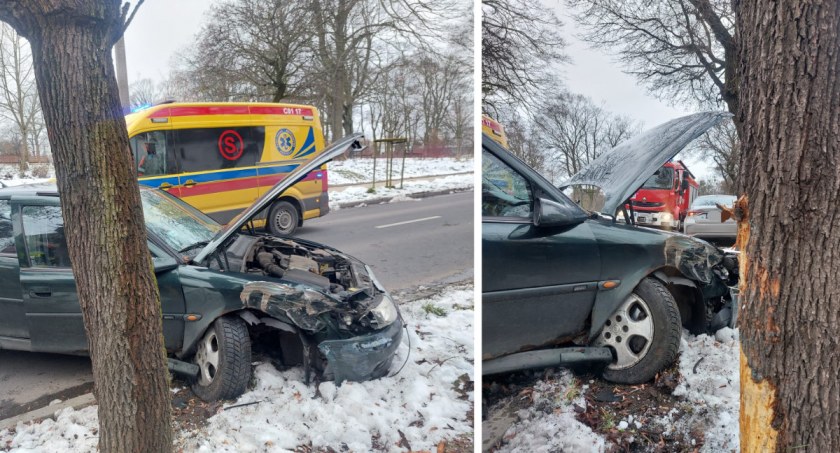 Wypadek w regionie. Opel uderzył w drzewo [ZDJĘCIA]