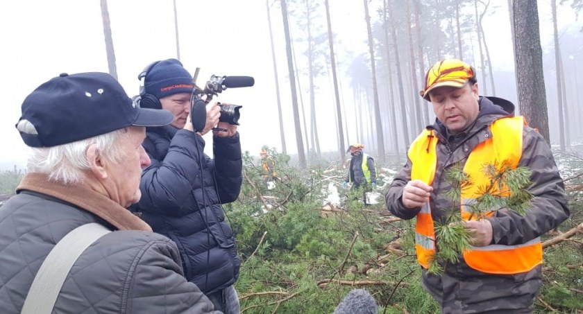 W podwłocławskich lasach trwa wielkie szyszkobranie. Na co komu szyszki? [ZDJĘCIA]
