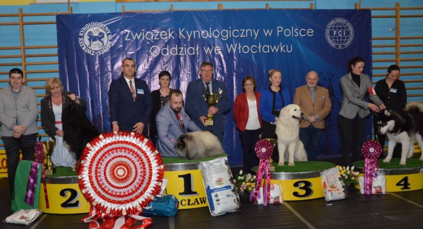 Wystawa psów rasowych i do towarzystwa w  Choceniu już wkrótce