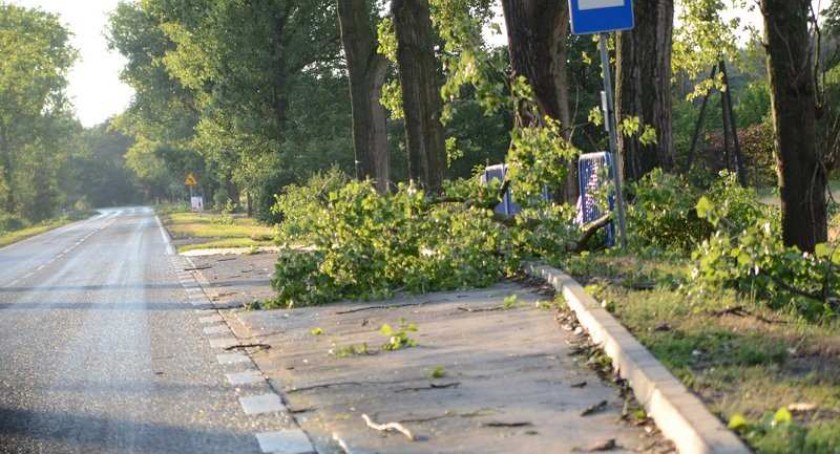 Alert dla Włocławka i okolic! Nadciąga niebezpieczny cyklon Willy