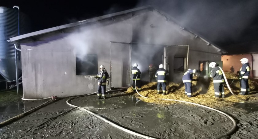 Udusiło się 15 tysięcy piskląt. Olbrzymie straty i 9 jednostek straży w akcji