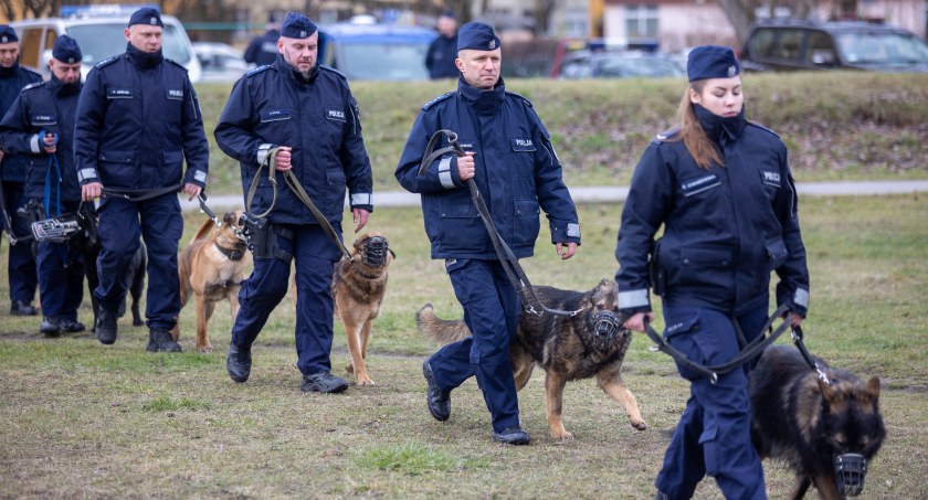 Nowe samochody dla policjantów z psami. Włocławek też na liście