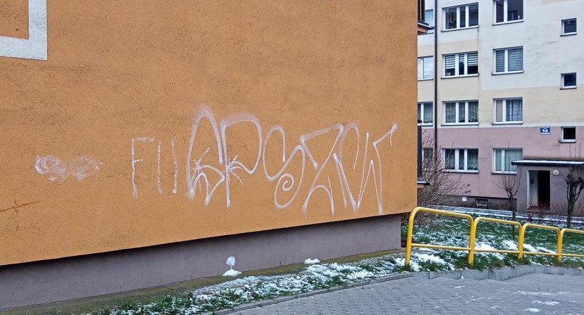 Uszkodzili elewacje. Policja poszukuje sprawców zdarzenia [VIDEO]
